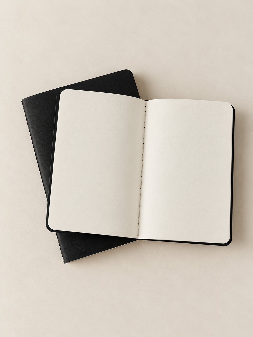 A6 Blank Inserts x2